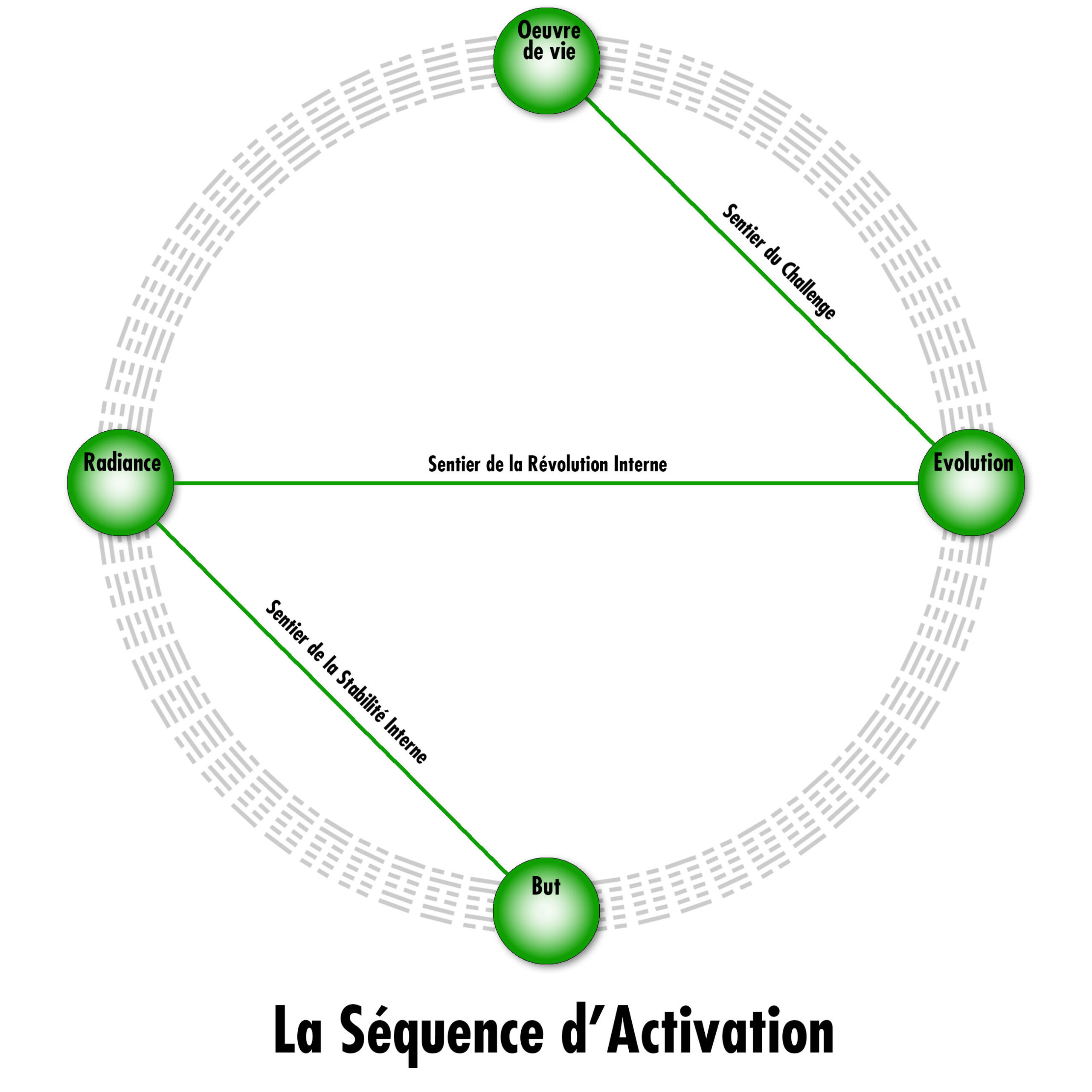 La Séquence d'Activation des Clés Génétiques